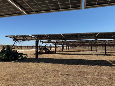 Two men in hard hats examining blueprints near solar panels.