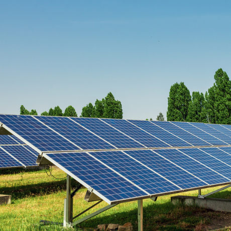 Man in orange hardhat inspects solar panels at a solar farm on a sunny day.