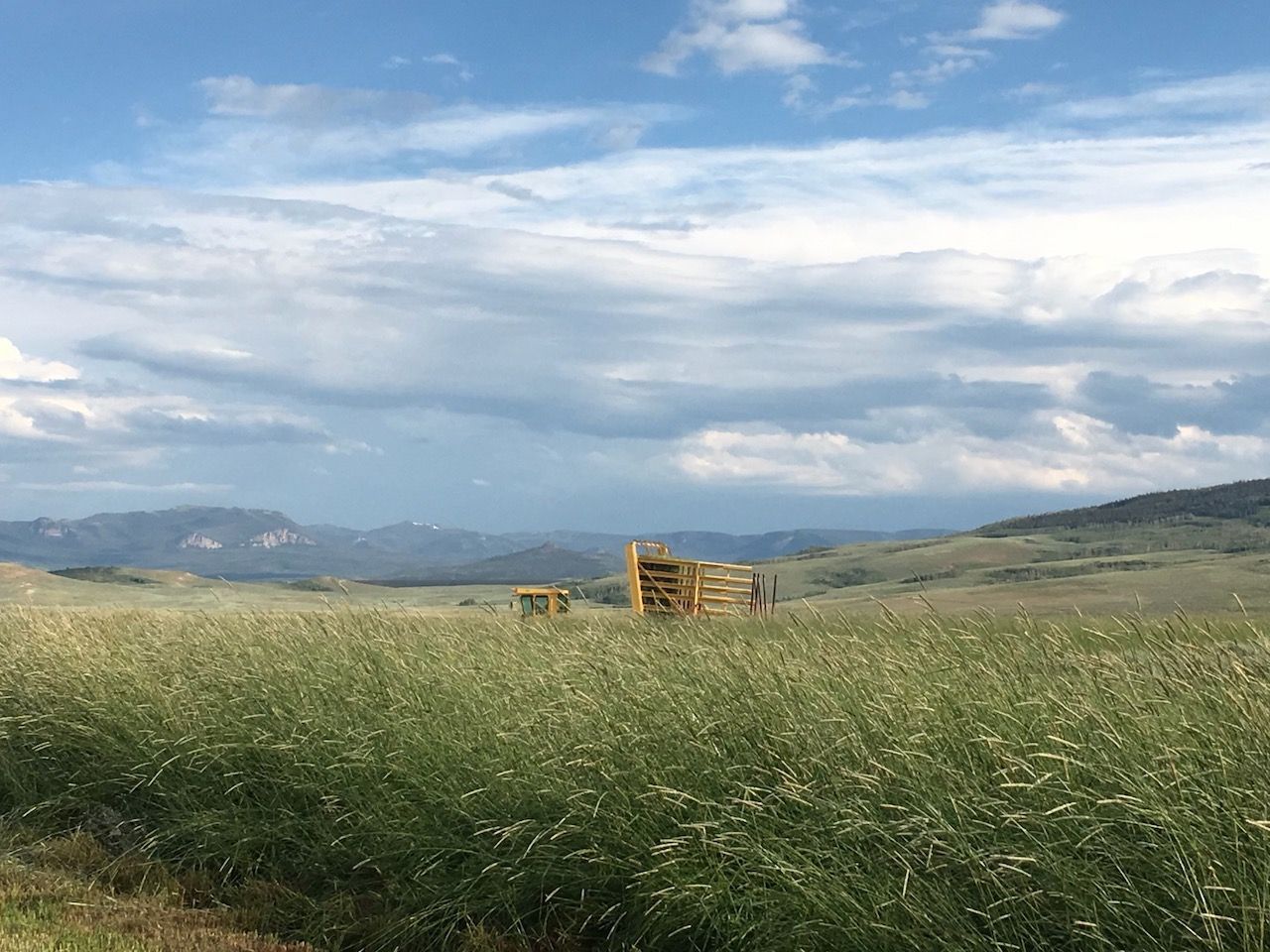 A field of tall grass with mountains in the background on a cloudy day.