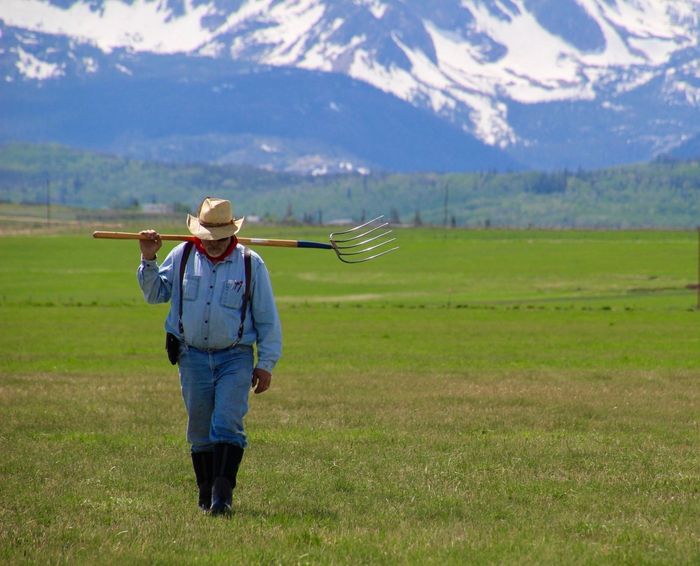 David in a cowboy hat is carrying a pitchfork in a field