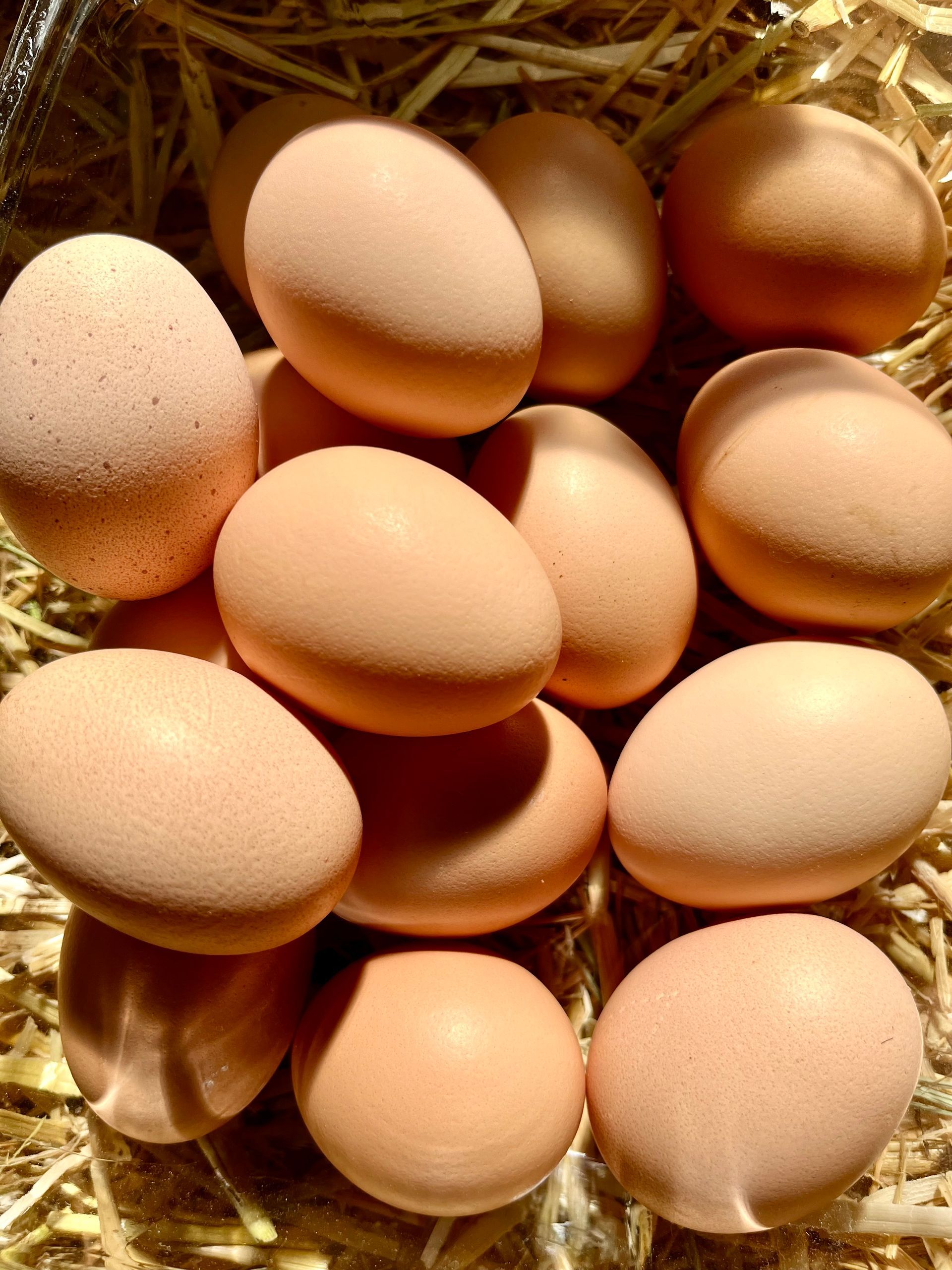 A bunch of farm fresh brown eggs are sitting on a pile of hay