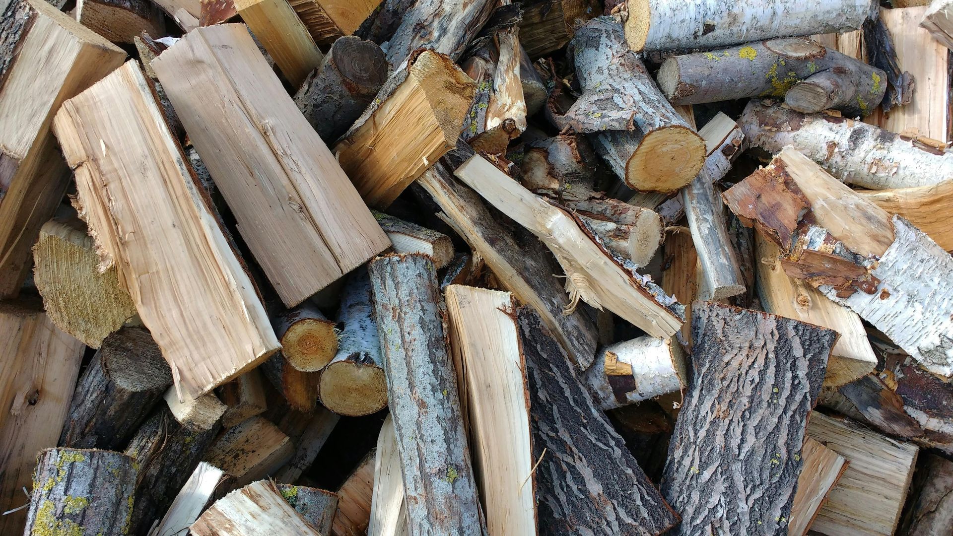 Pile of mixed firewood, varying colors and textures.