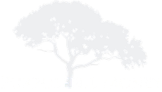 The logo for purposeful money shows a tree with a lot of leaves.