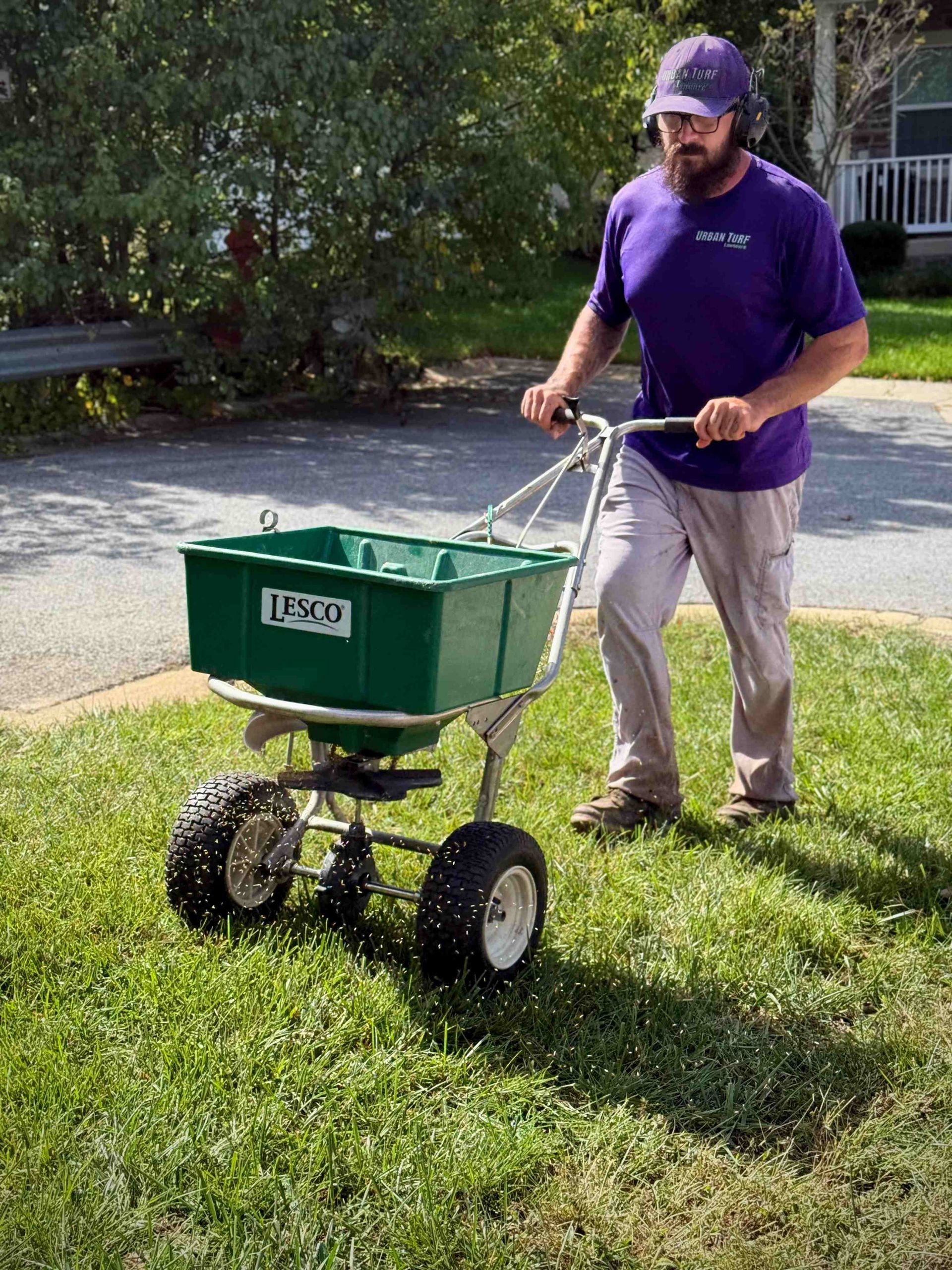 Person pushing a green spreader on a grassy lawn. The person wears a purple shirt and a hat.