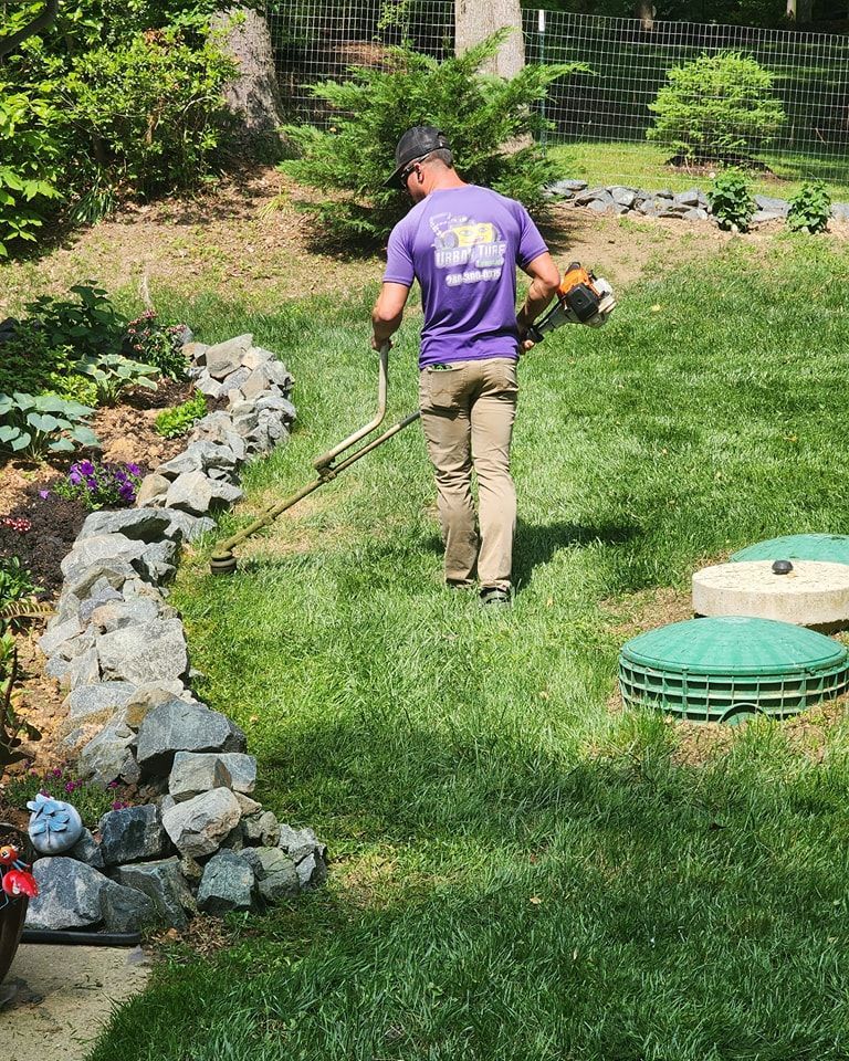 Man using a string trimmer to cut grass near a rock wall. Sunny day, green grass, and trees in background.