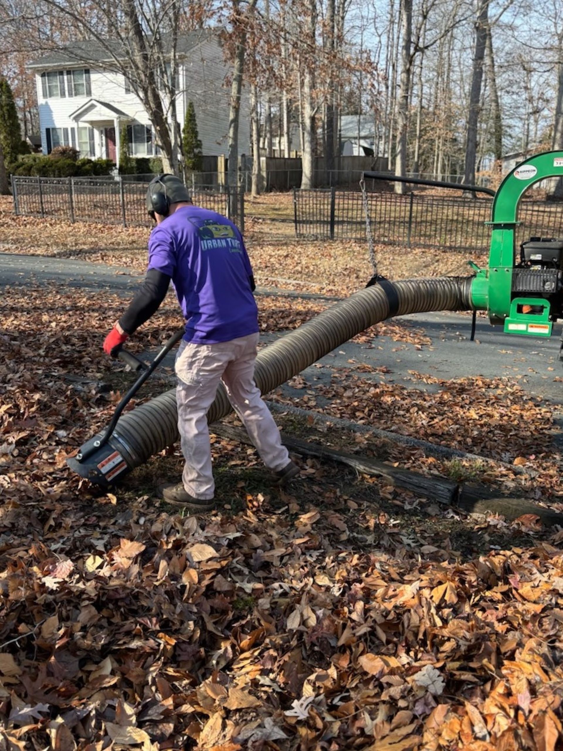 A man in a purple shirt is blowing leaves in a yard.