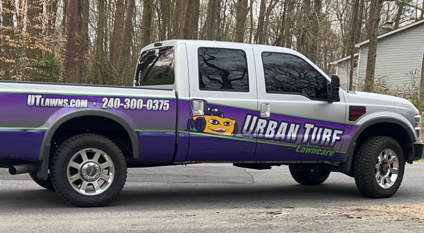 A purple and white truck is parked on the side of the road.