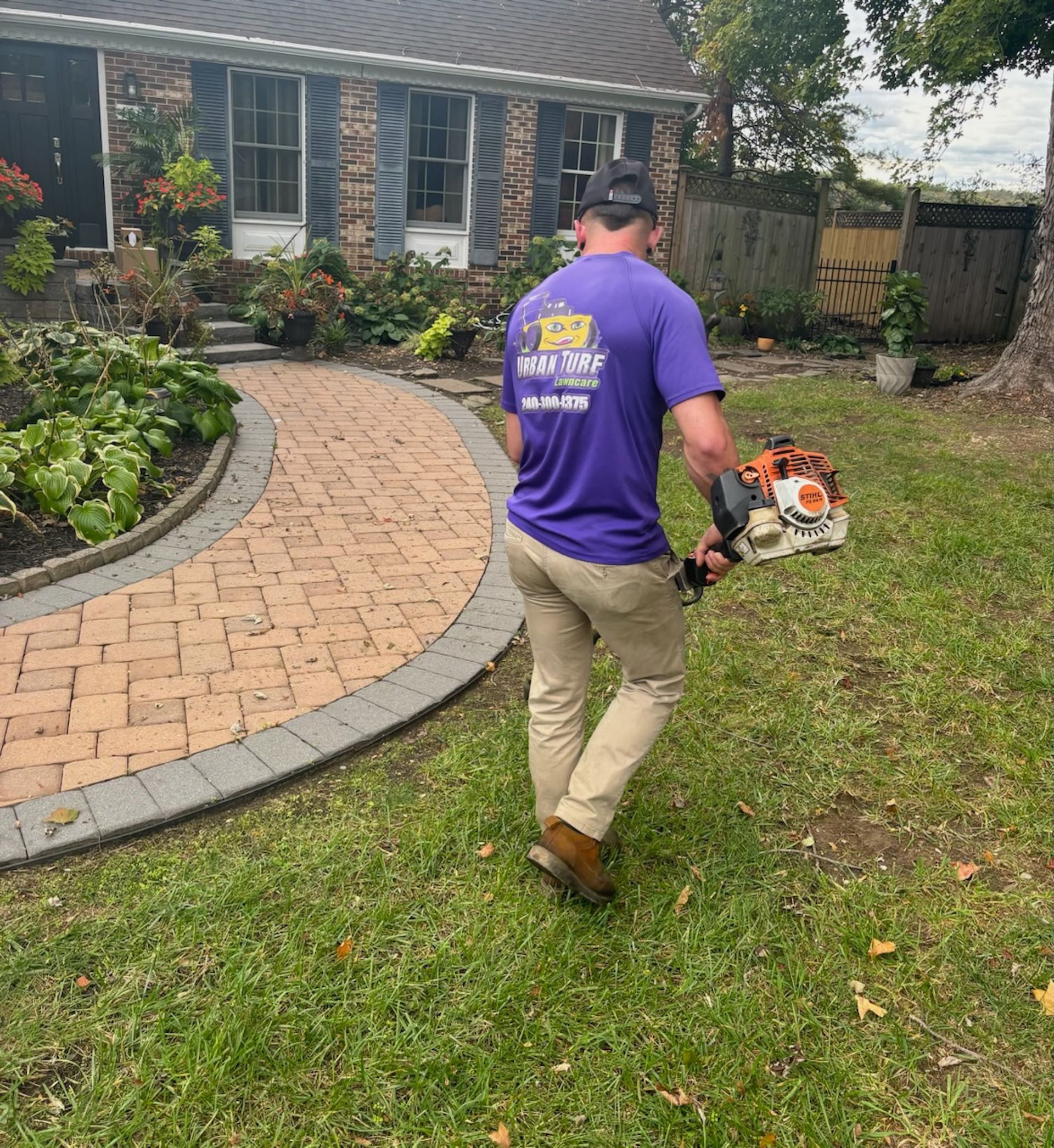 A man in a purple shirt is walking in a yard with a stihl trimmer.