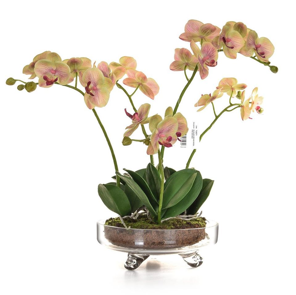 Artificial Orchid Arrangement