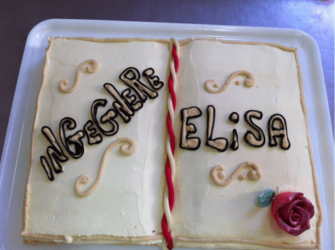 Torta con glassa a forma di libro