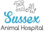 Home | Sussex Animal Hospital