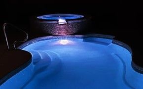 Pool area with screen enclosure, pool, hot tub, outdoor kitchen, and seating. Lush tropical landscaping surrounds.