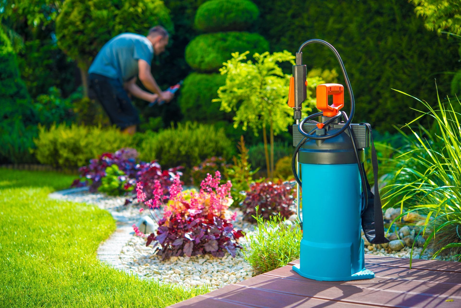 Lawn Pest Control in Fontana, CA 