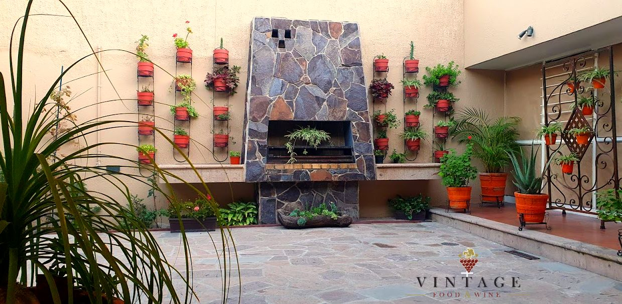 Una chimenea de piedra está rodeada de plantas en macetas en un patio.