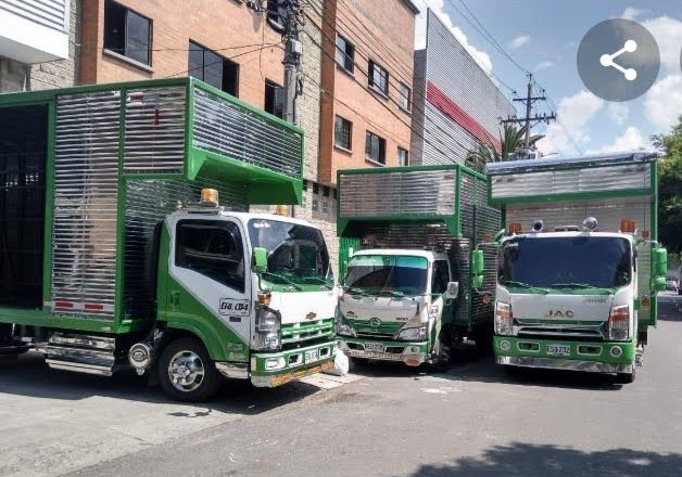 Un grupo de camiones verdes y blancos están estacionados al costado de la carretera.