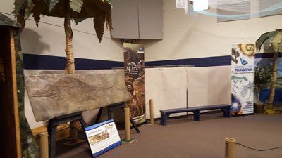 Dino skeletons setup in gym