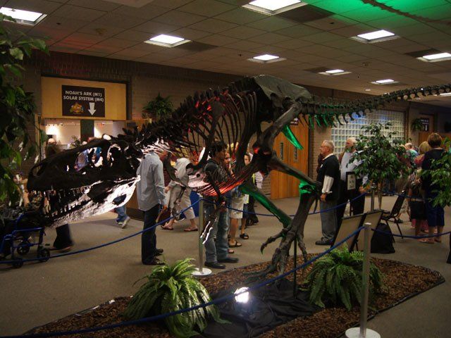Albertosaurus Skeleton on display
