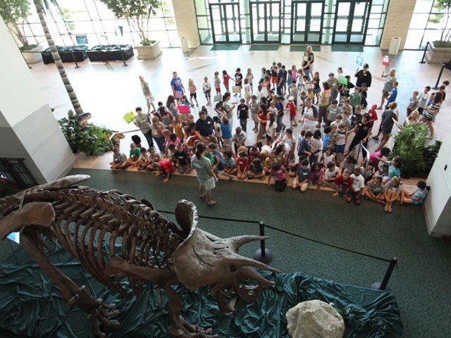 children looking at Triceretops skeleton