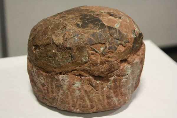 Dinosaur Egg