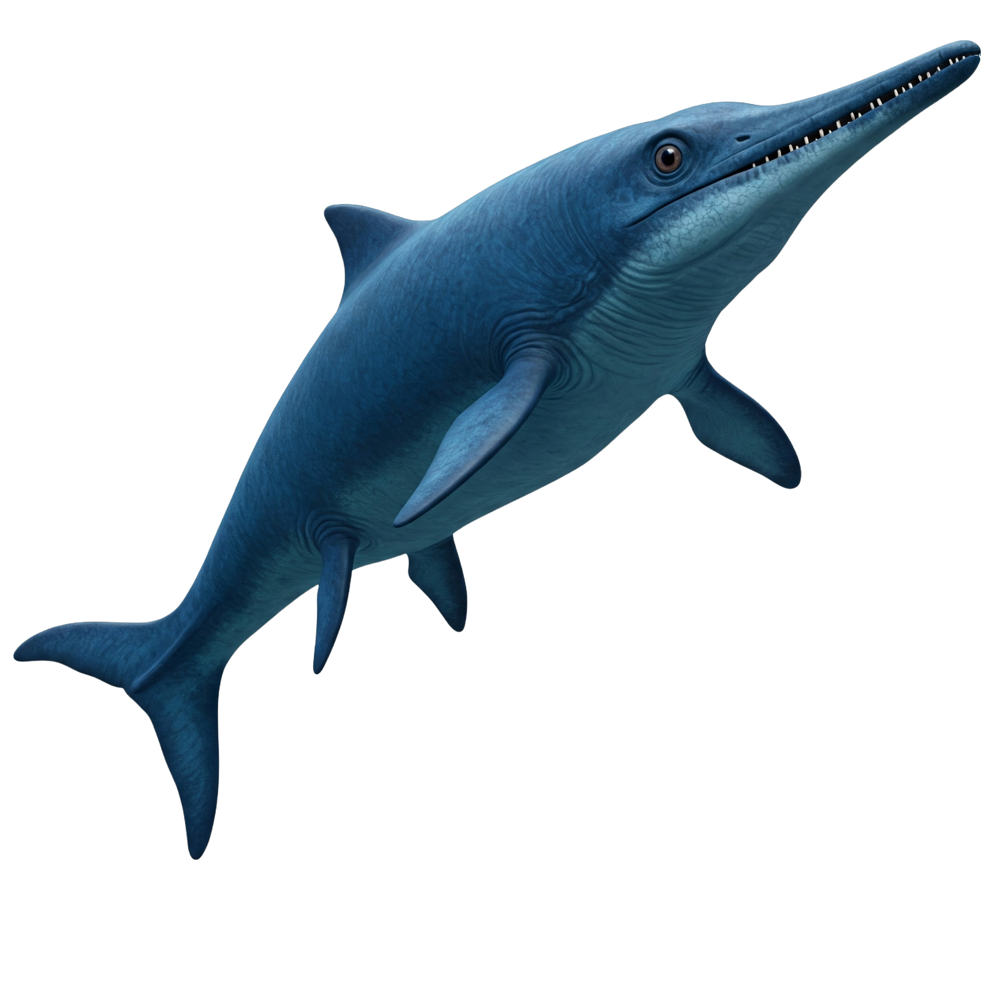 Ichthyosaur pic