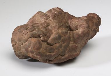Coprolite  (Fossil Excrement)