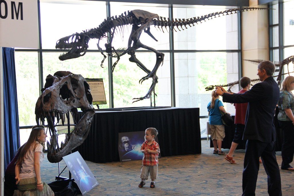 Albertosaurus skeleton on display