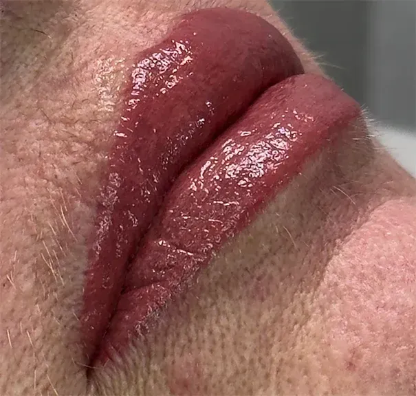 Close-up of lips with dark, shiny lipstick. Skin around lips is wrinkled and textured.