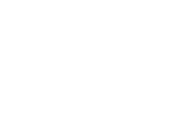 Adelaide Windscreens
