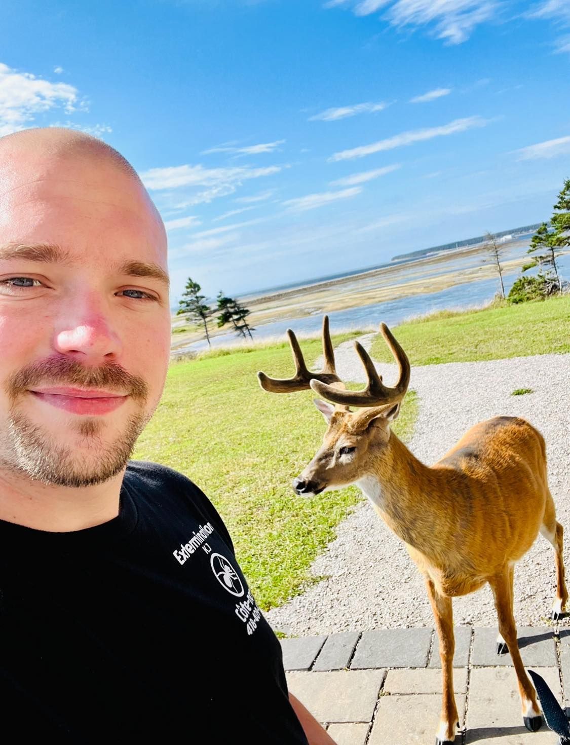 Un homme prend un selfie avec un cerf en arrière-plan.