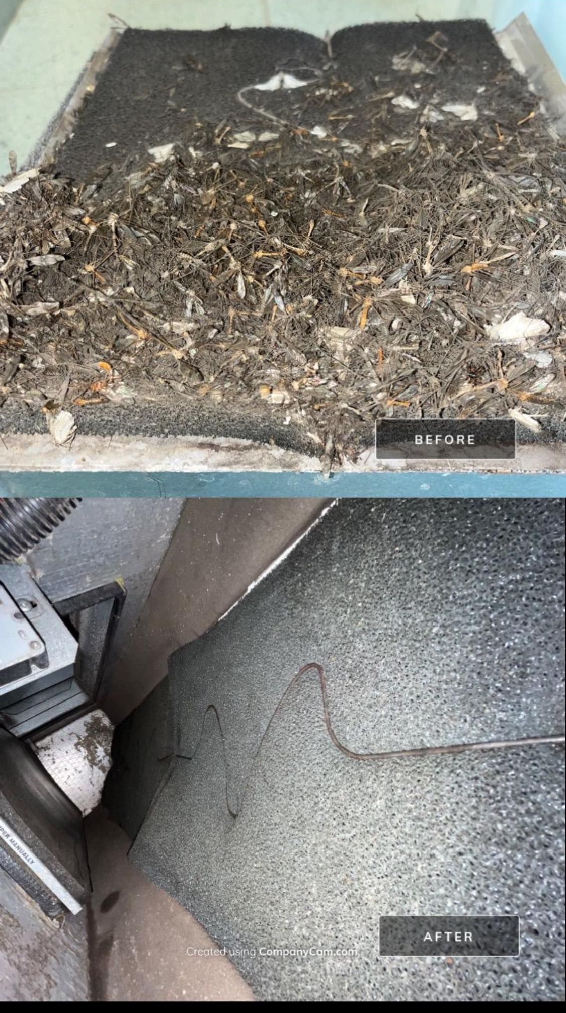 Une photo avant et après d'un sol sale.