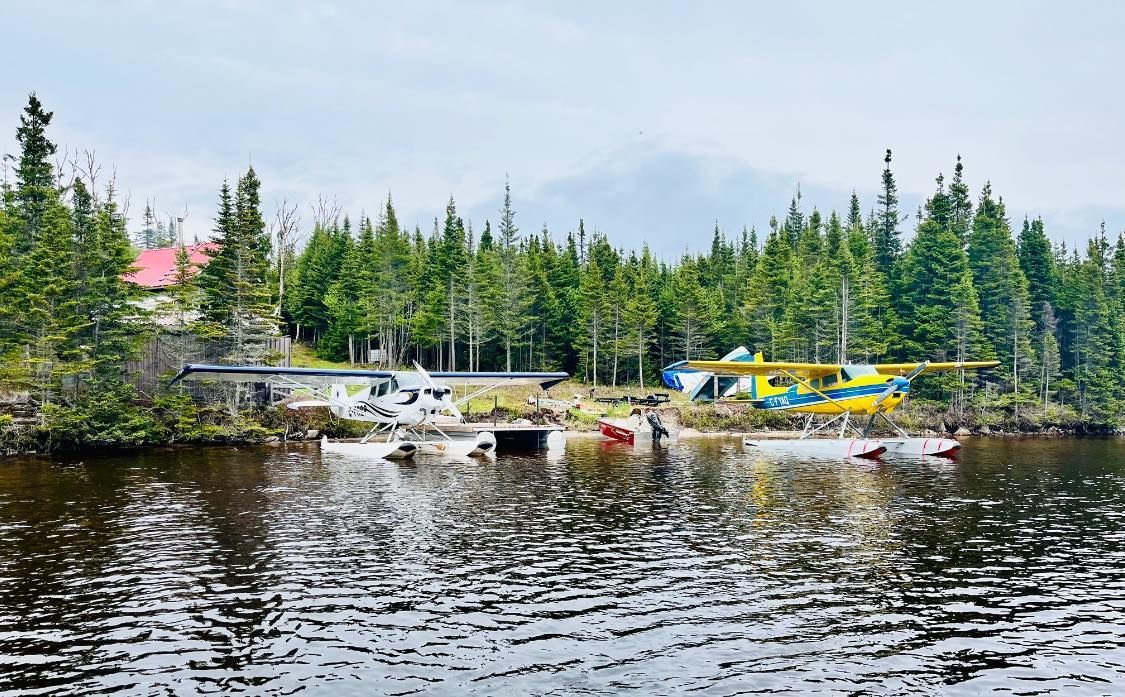 Quelques avions sont assis au sommet d'un lac.