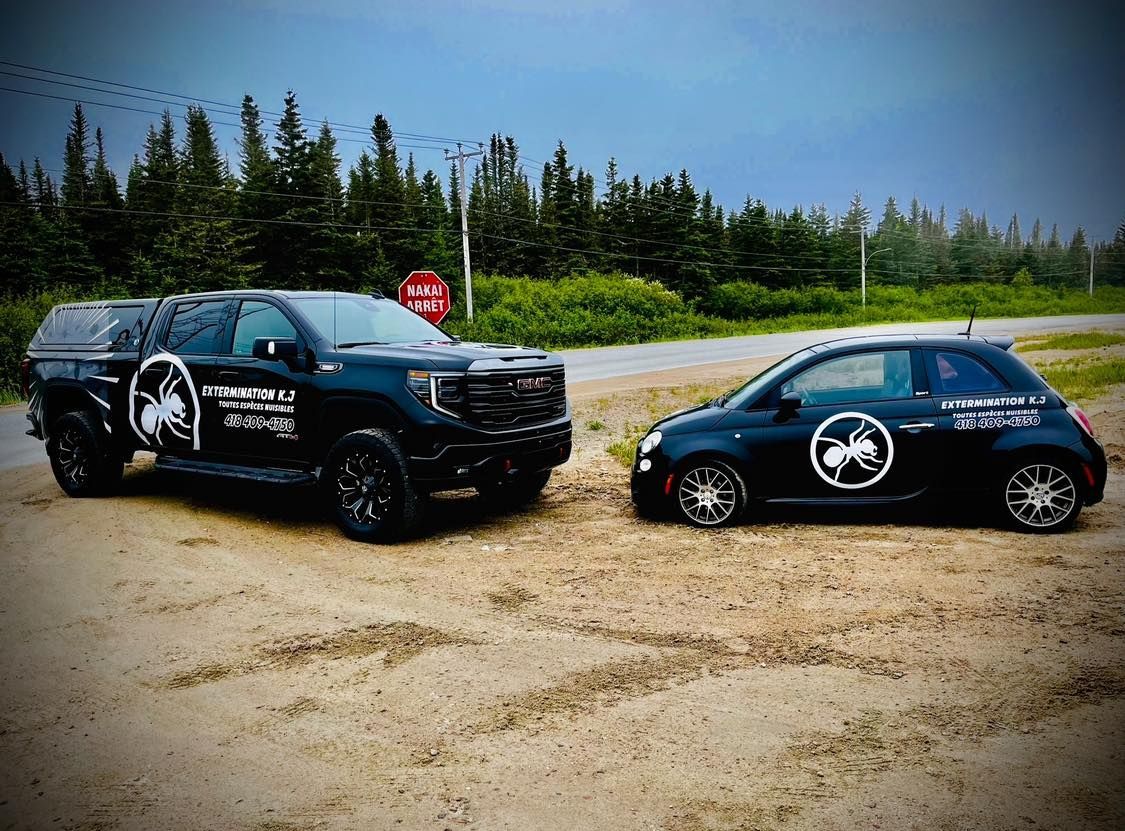 Un camion et une voiture sont garés l'un à côté de l'autre dans un champ de terre.