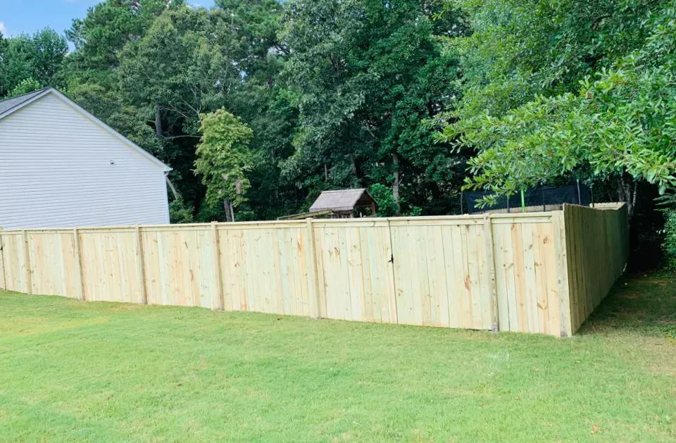 Wooden privacy fence in a grassy backyard, trees in the background.