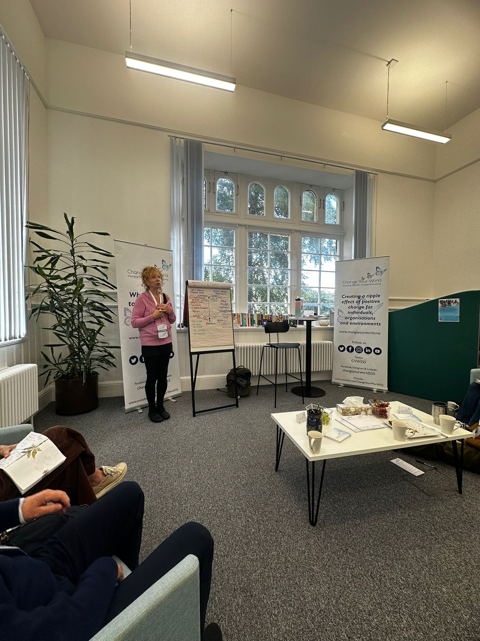 Woman presenting in a room with a flip chart and display boards. Window and potted plant in the background.