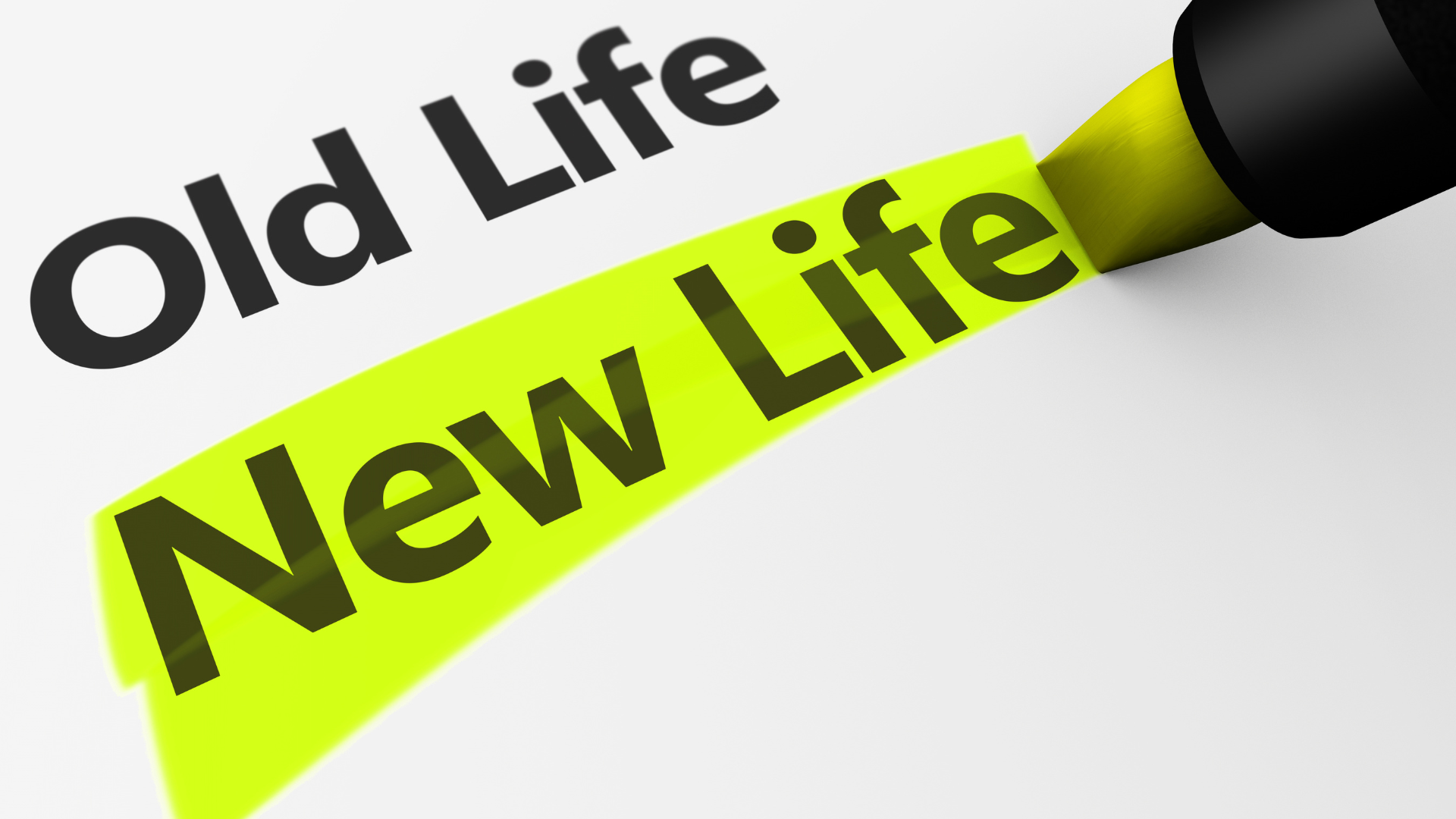 The words 'New Life' are highlighted