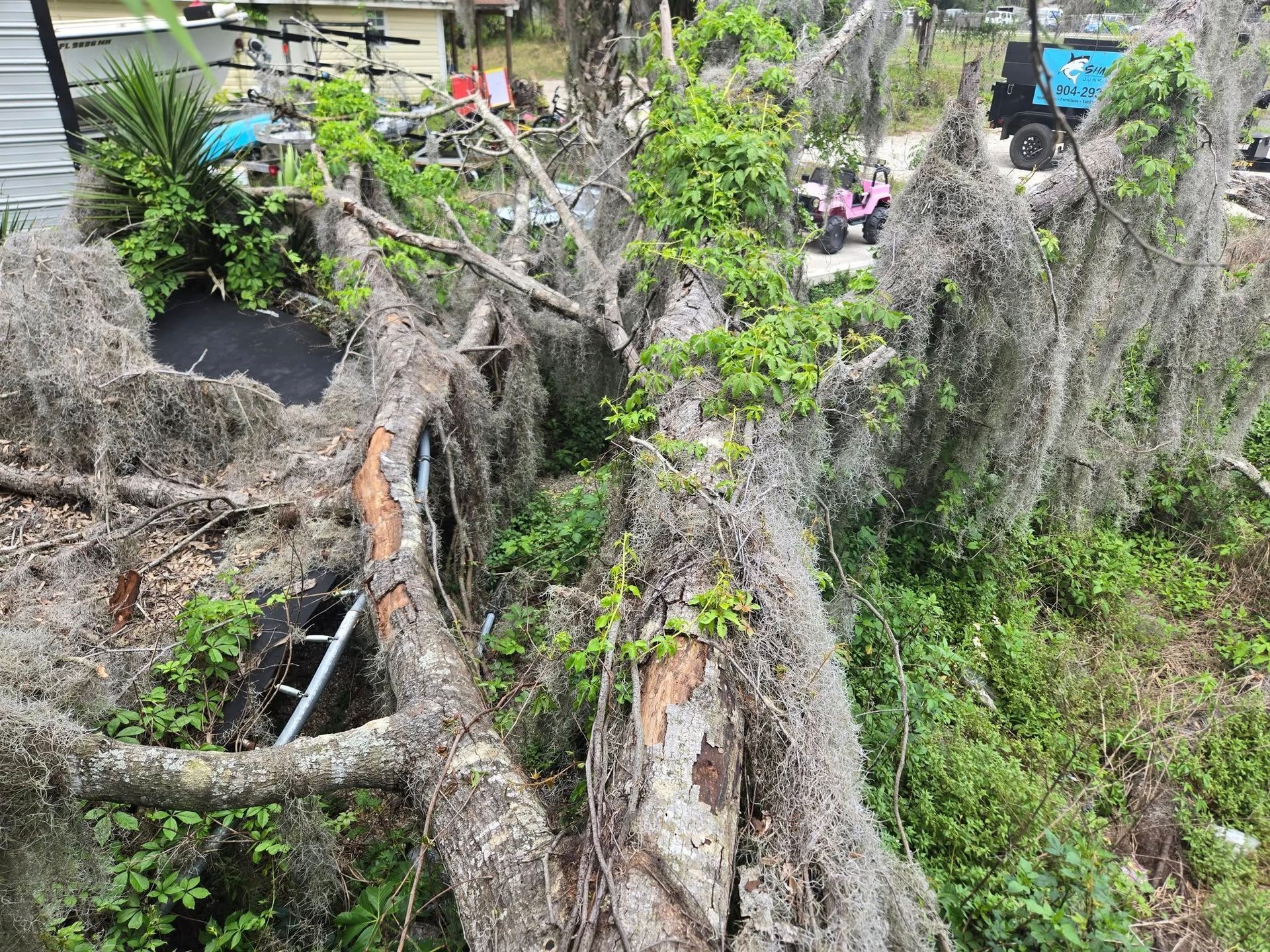 A large tree that has fallen in the middle of a field.
