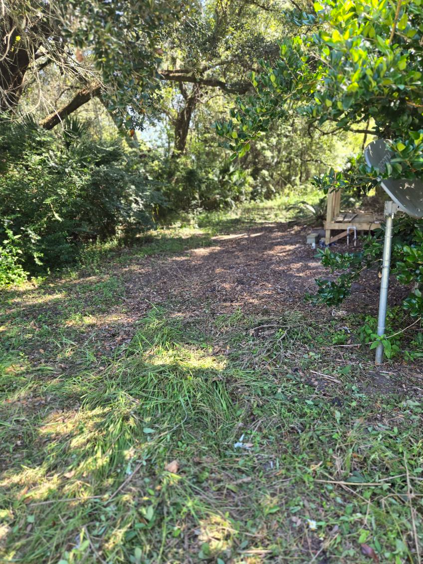A grassy, shaded clearing leads to a wooden bench. Sunlight filters through the trees.