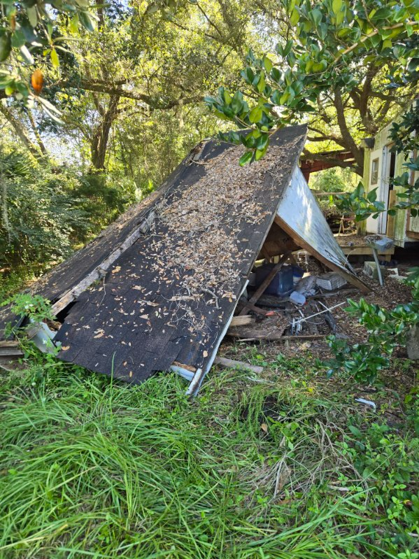 Collapsed shed roof on overgrown grass, surrounded by trees.