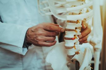 Spinal Cord — St. Louis, MO — Clemons Chiropractic