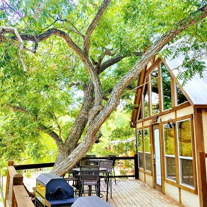There is a large tree on the deck of a house.