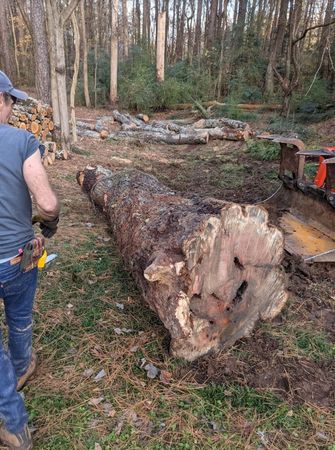 A man is standing next to a large log in the woods.