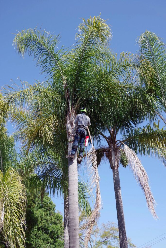 Family gathered at a dining table in a kitchen. They are eating and talking together.