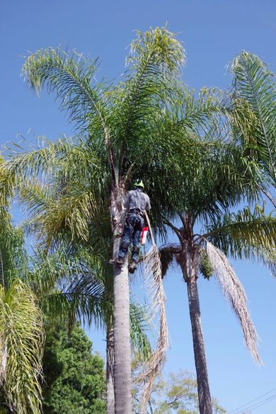 Family gathered at a dining table in a kitchen. They are eating and talking together.