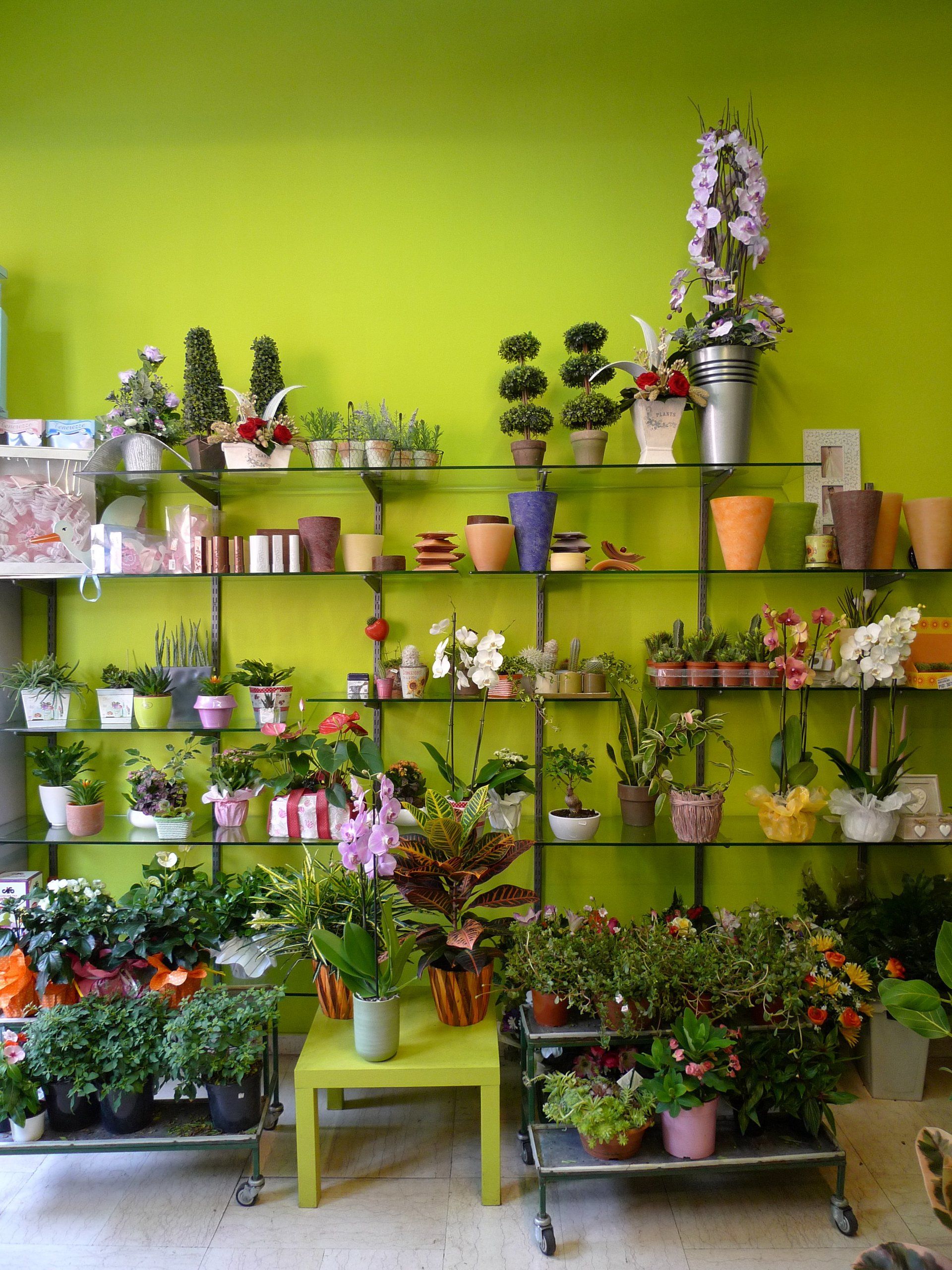 parete con piantine in vendita a Casorezzo