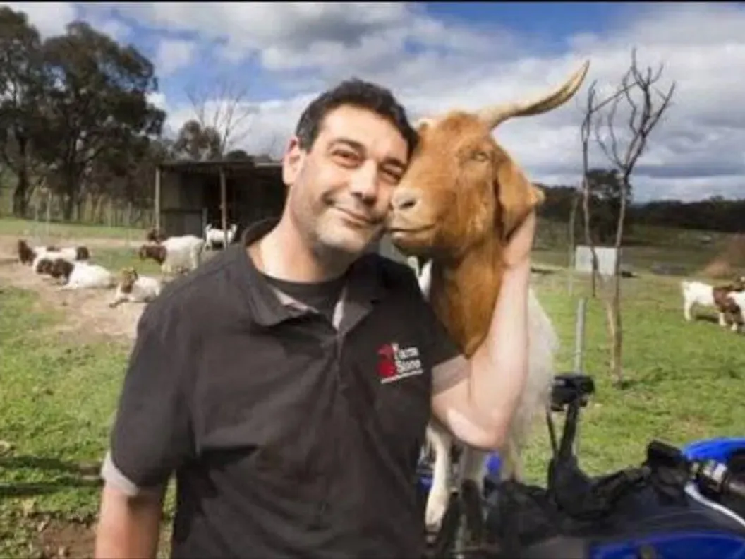 Tylan with a boer goat