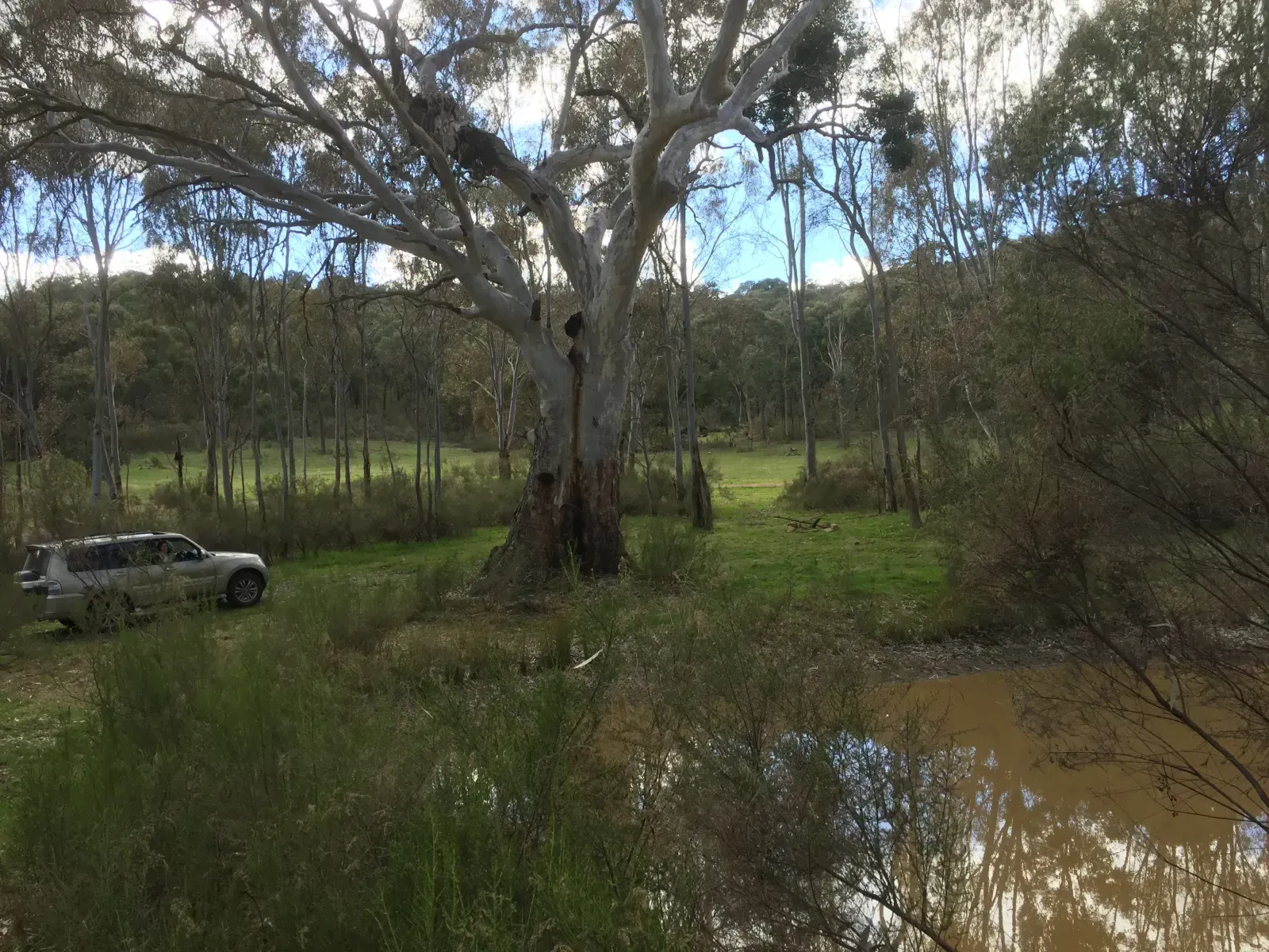 4x4 driving past the lake