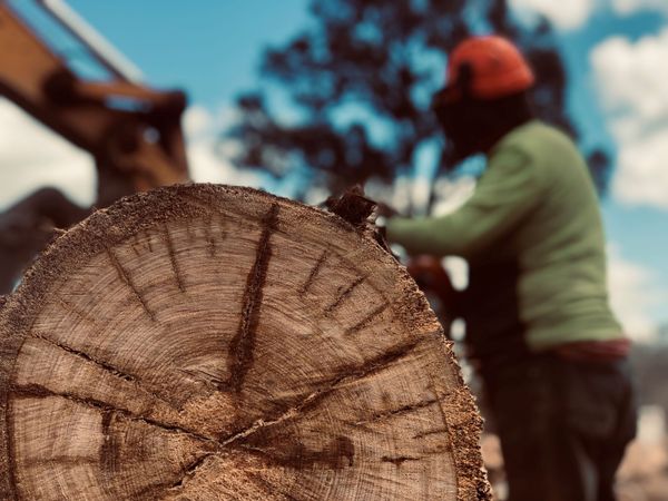 Wood chopping