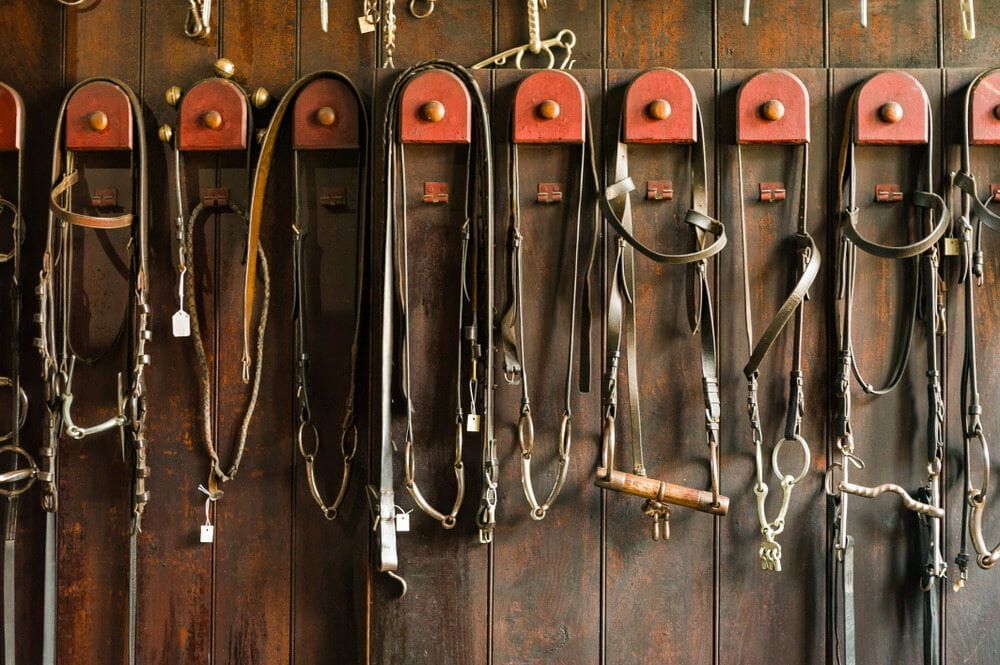 A Row of Horse Bridles Hanging on a Wooden Wall — Meraki Equestrian Centre in Mareeba, QLD