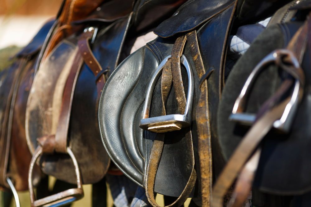 A Row of Saddles and Stirrups on a Horse — Meraki Equestrian Centre in Mareeba, QLD
