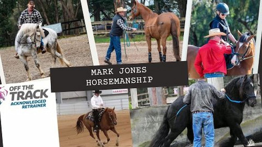 A Collage of Photos of People Riding Horses — Meraki Equestrian Centre in Mareeba, QLD